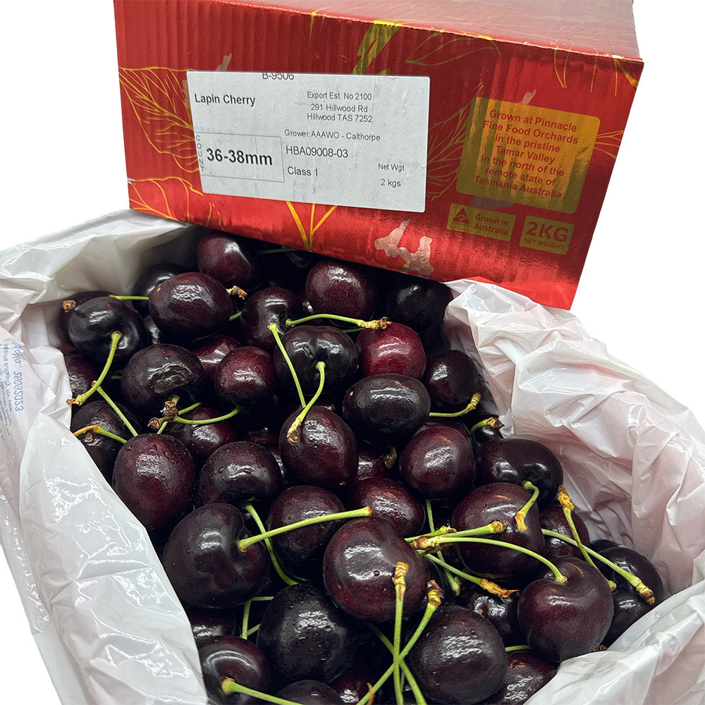 Tasmanian-Lapin-Cherries-Gift-Box---36-38mm,-2kg-1