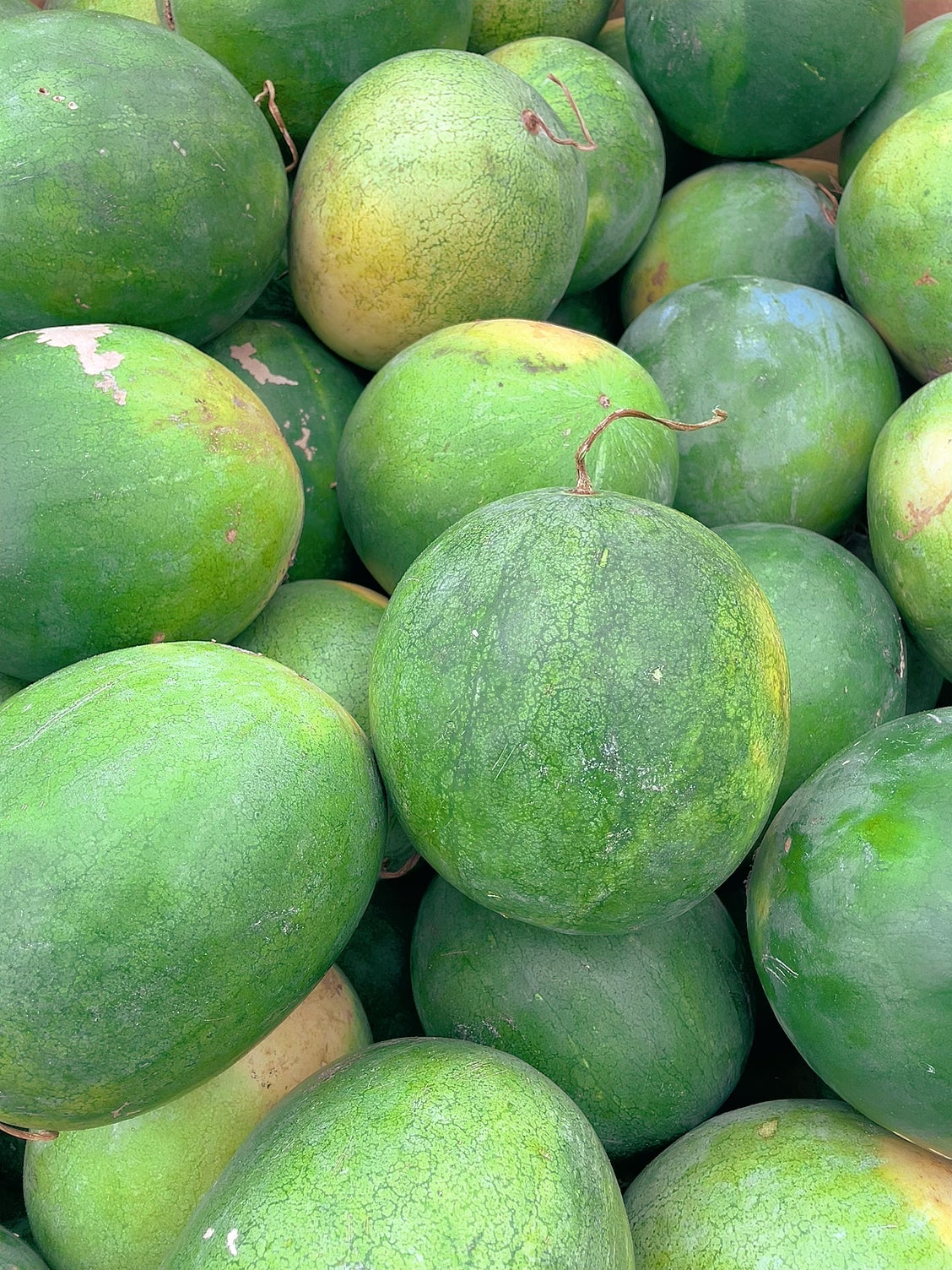 [Fresh]--Seedless-Medium-sized-Watermelon---Approximately-3-4kg-each-1