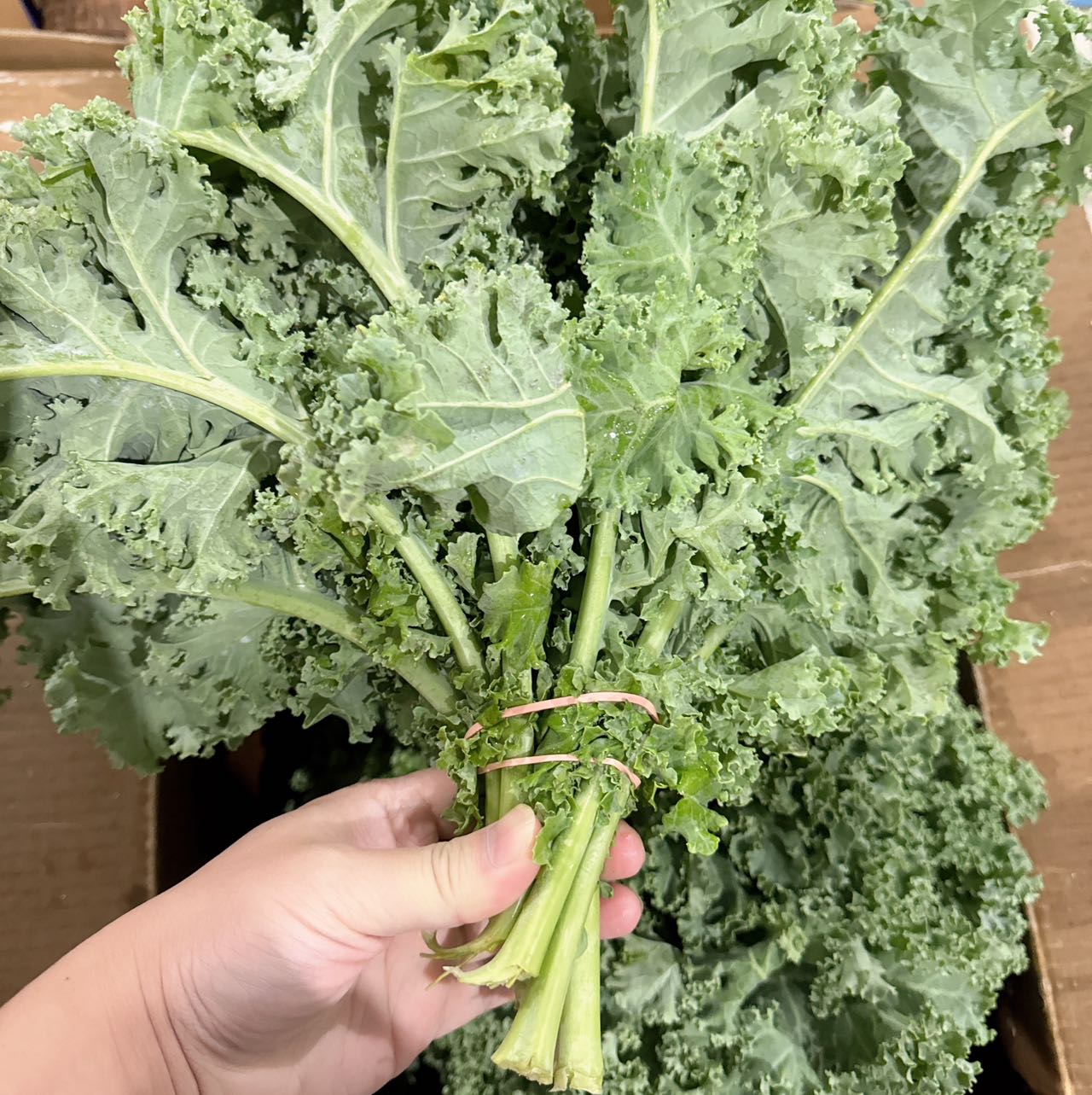 Fresh-Kale---1-Bunch-1