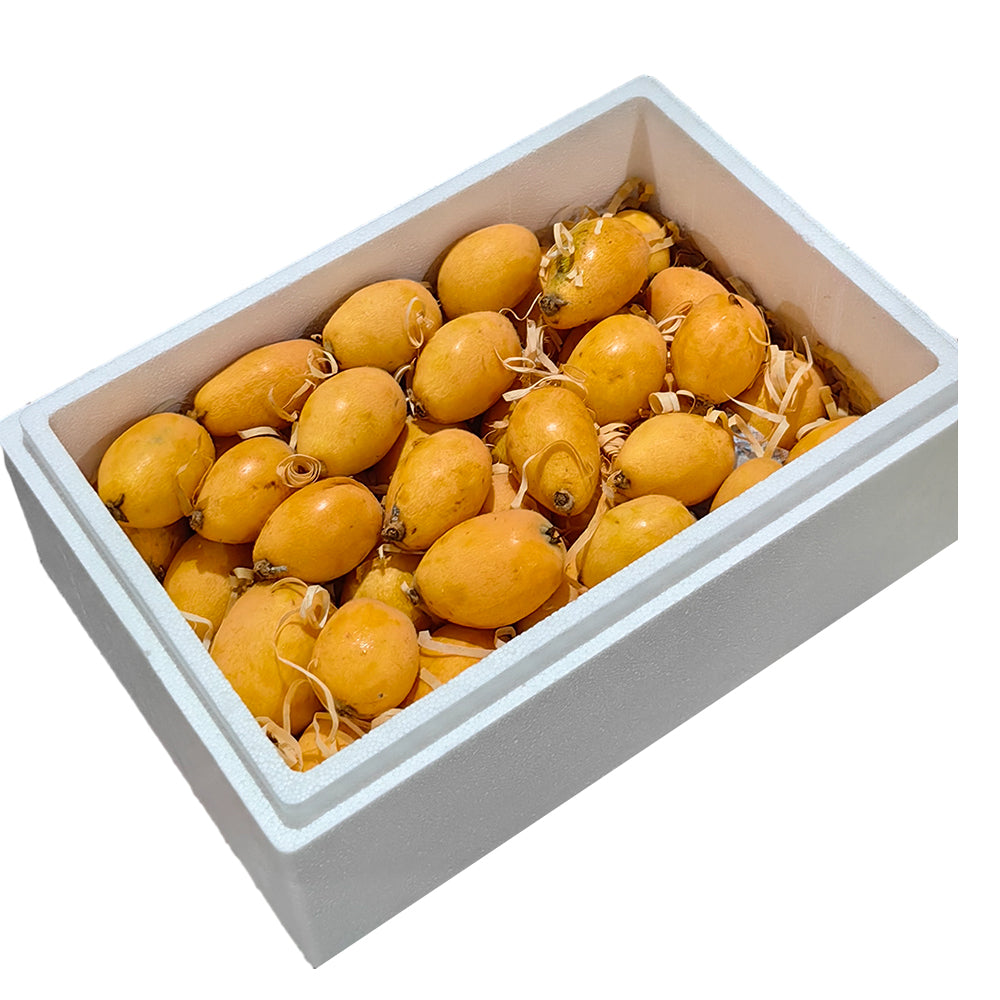 Tehillah-Orchard-Premium-Loquat-Gift-Box---2kg-1