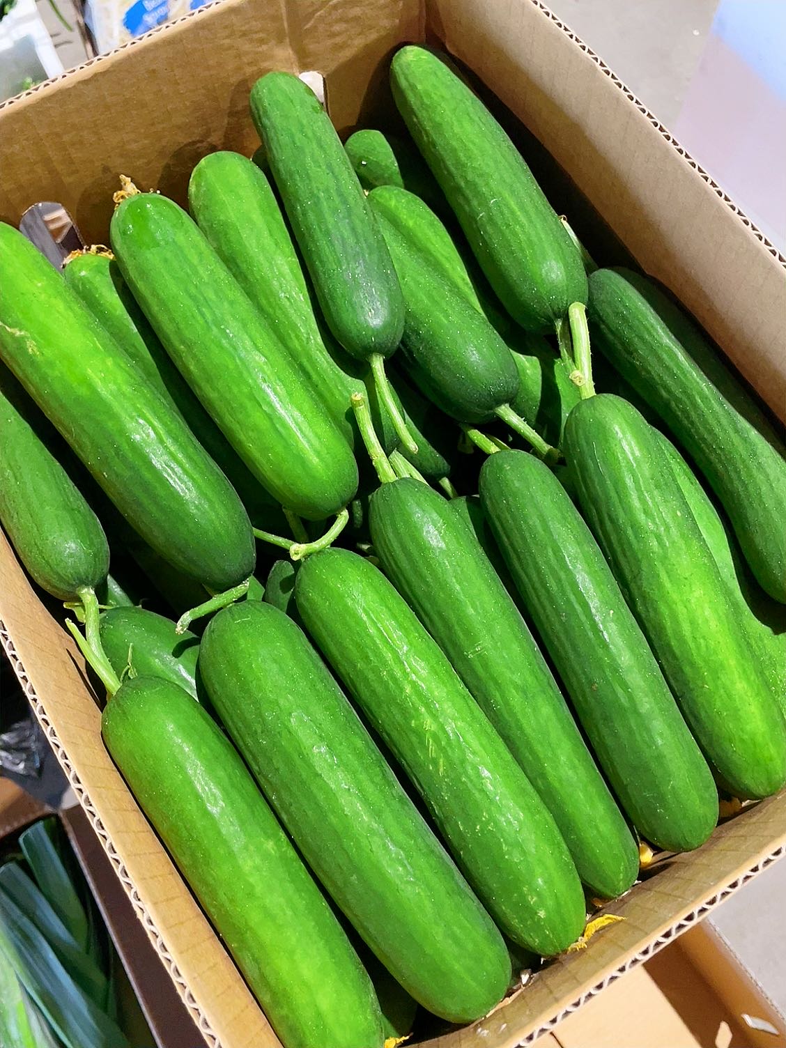 [Fresh]-Cucumbers-Approximately-1kg-1