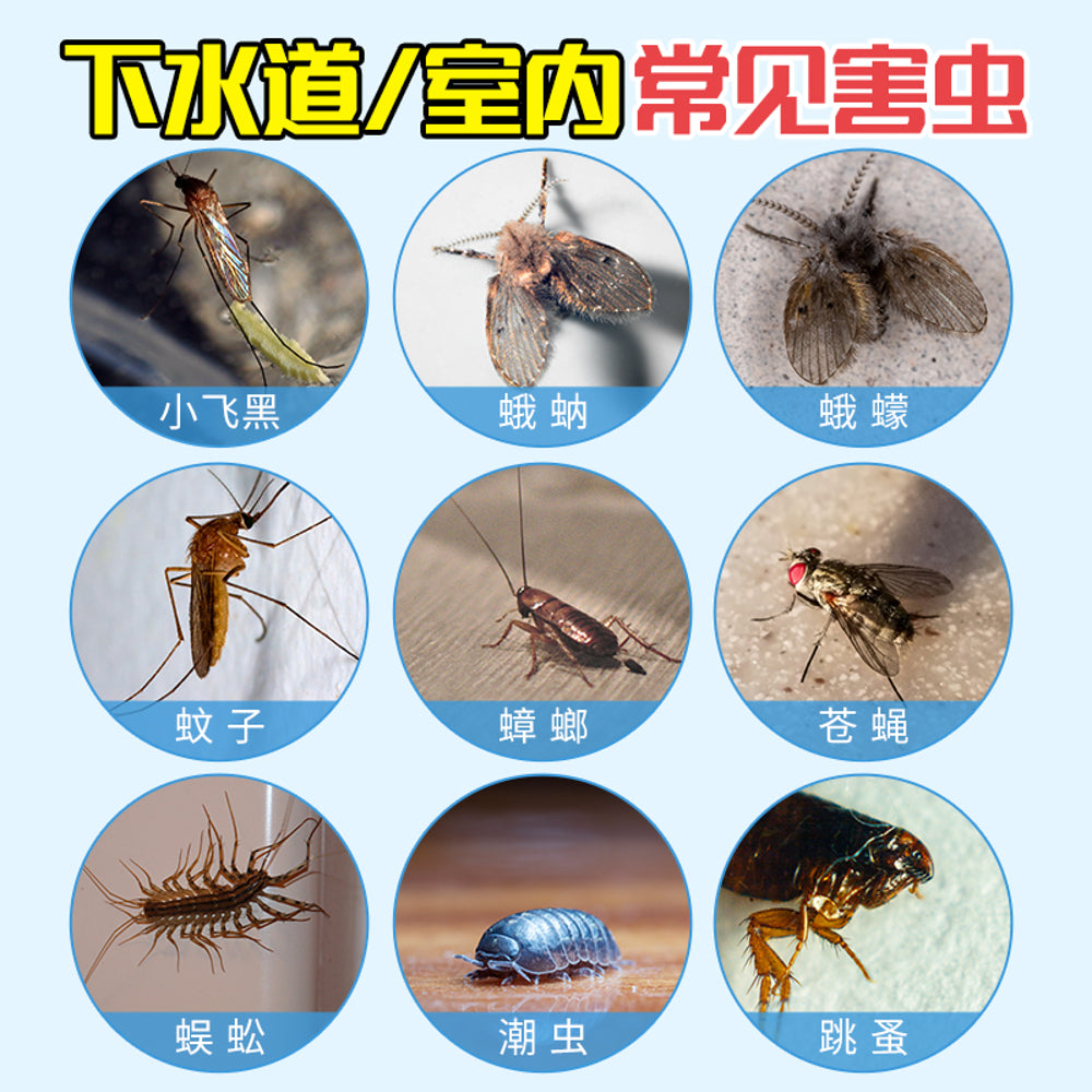 Laoguanjia-Drain-Fly-Killer-Solution-1000ml---Bathroom-Insecticide-for-Drain-&-Fruit-Flies-5