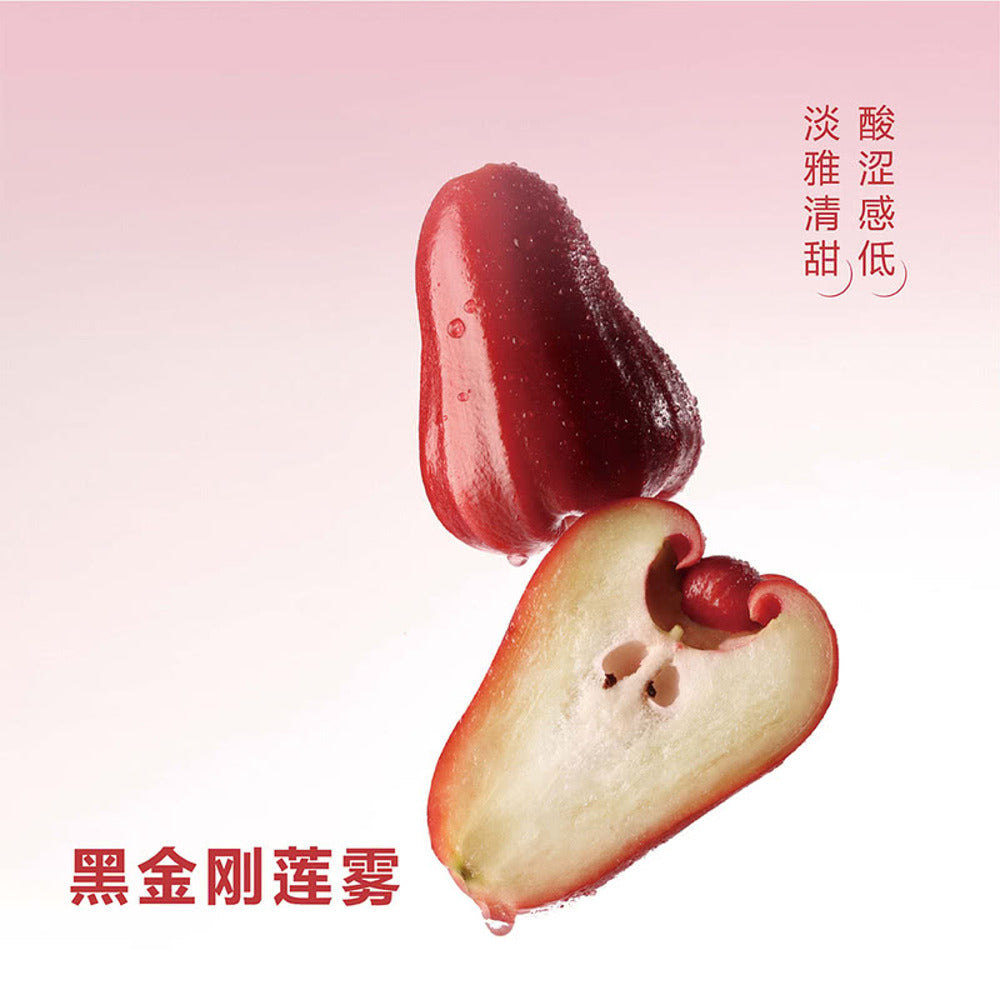 NAYUKI-Wax-Apple-(Rose-Apple)-&-Aloe-Fruit-Tea-Drink-330ml-x-15-Bottles-–-Limited-Import-5