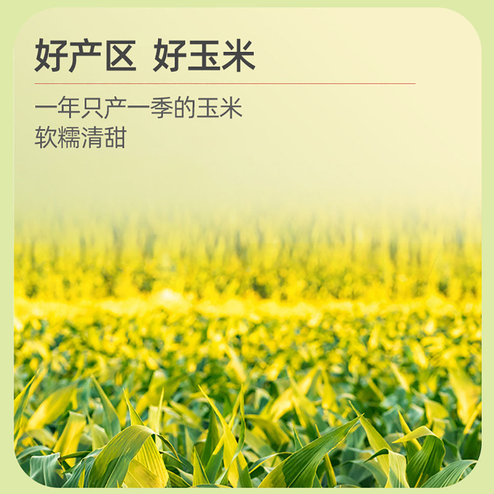 October-Paddy-Yellow-Glutinous-Corn---Single-220g-1