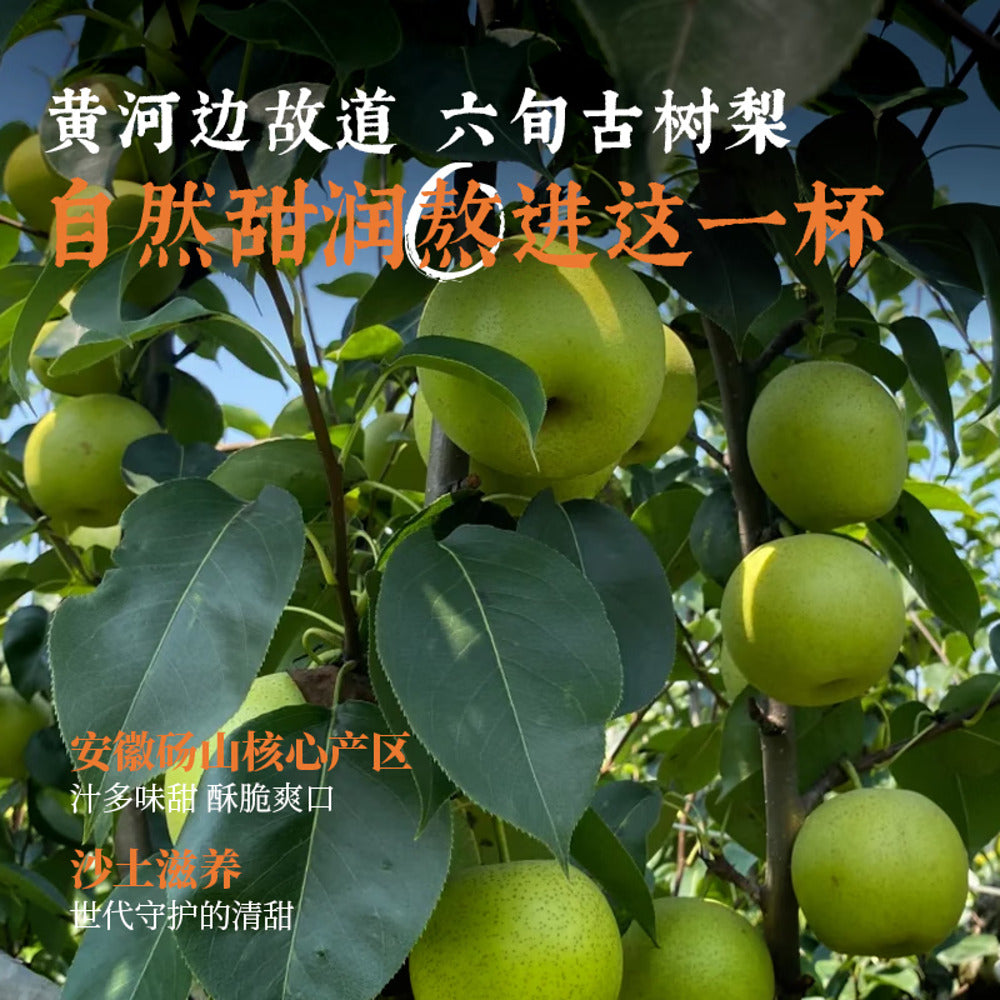 Keke-Manfen-Loquat-&-Snow-Pear-Herbal-Tea-Drink-500ml---Traditional-Chinese-Herbal-Beverage-5