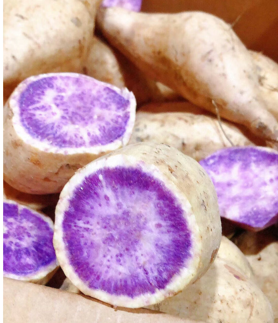 White-Skin-Purple-Flesh-Sweet-Potatoes---1.1-1.2kg-1