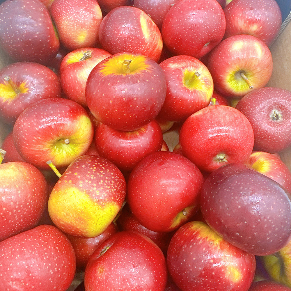 Baby-Bravo-Apples---1kg-1