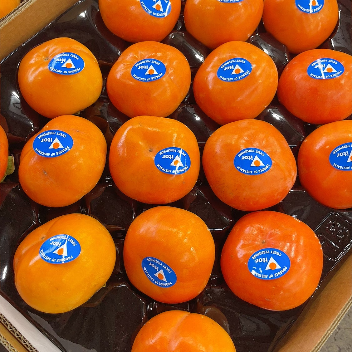 Blue-Label-Premium-Firm-Persimmons-(Size-18)---2-Pieces -1