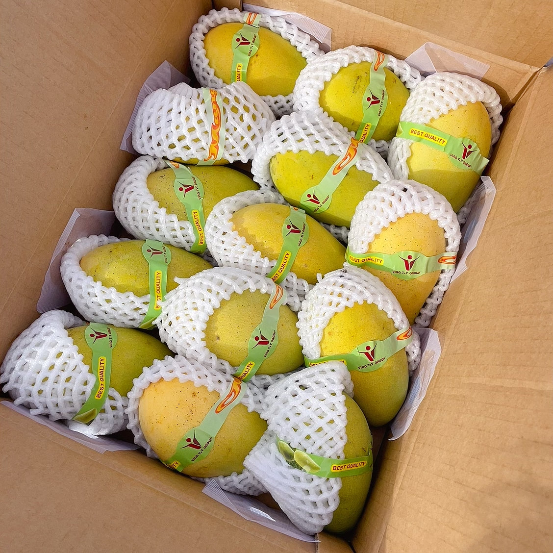 Vina-T&T-Group-Sweet-Mangoes-from-Vietnam---2-Pieces-1