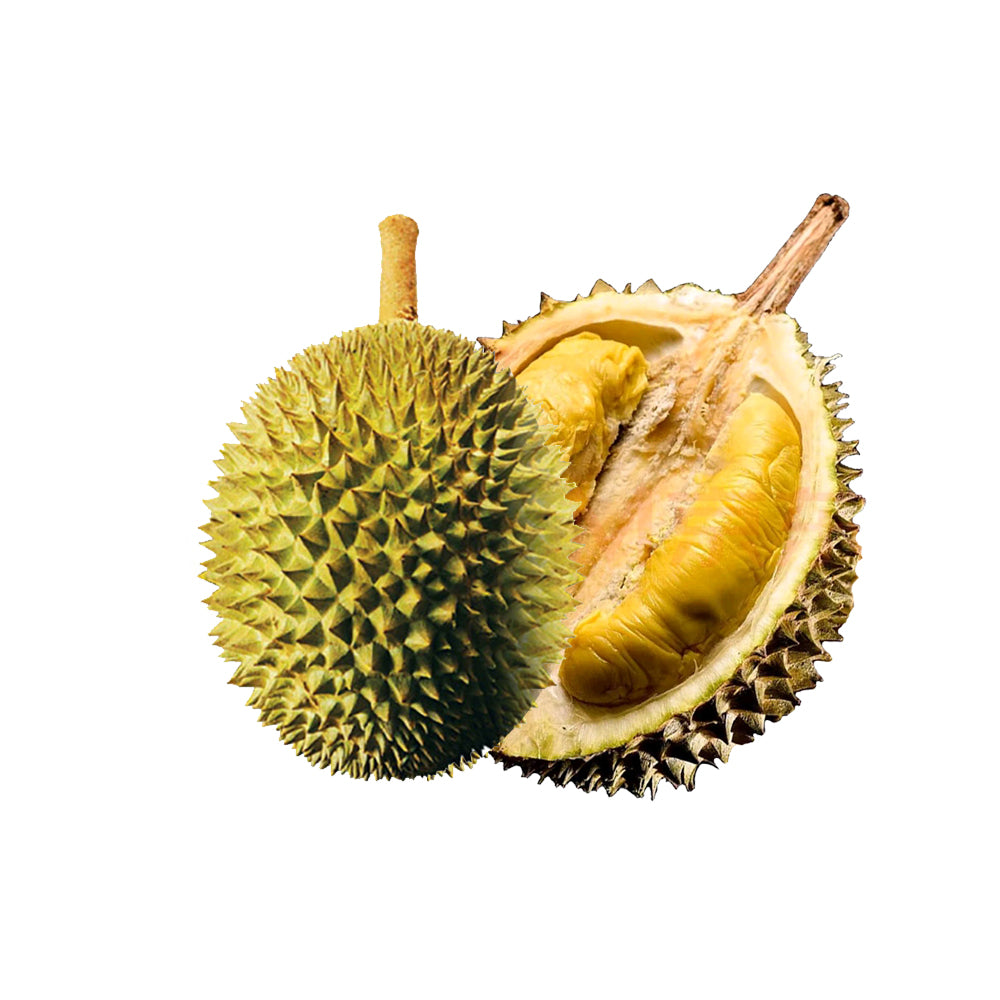 Hernan-Frozen-Musang-King-Durian---Multiple-Sizes-Available-1