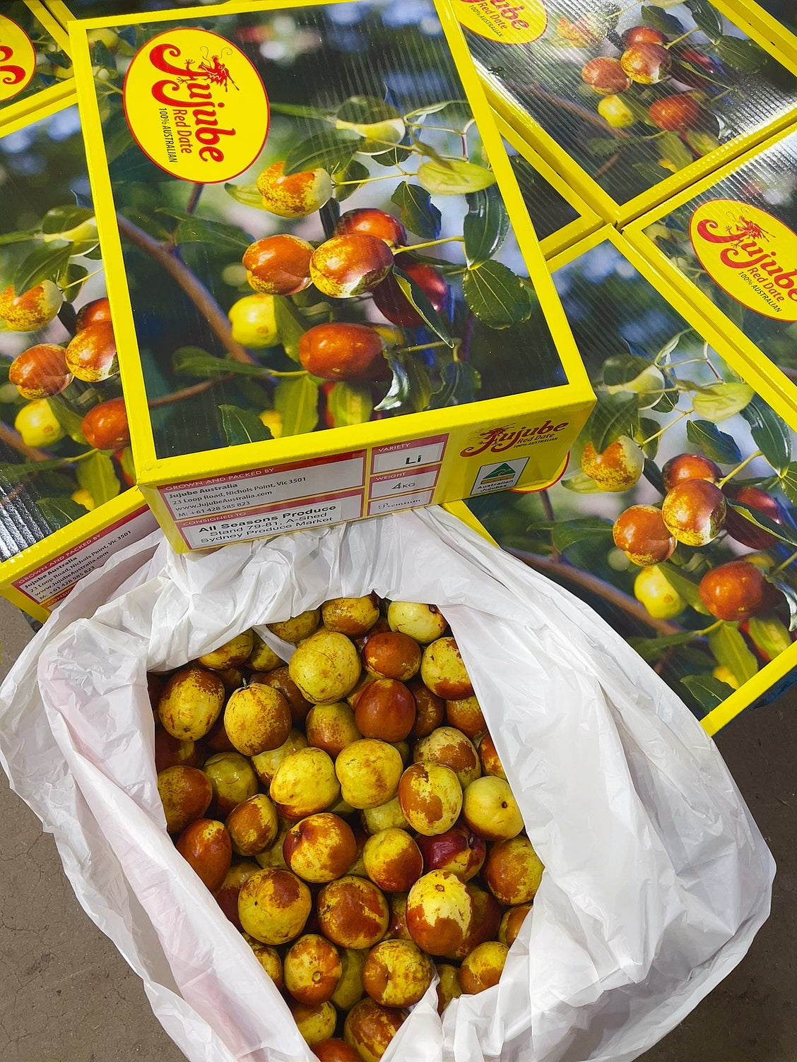 [Fresh]-UMall-Premium-Grade-Winter-Dates-Approximately-500g--1