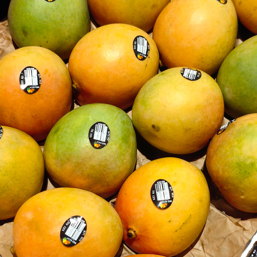 R2E2-Mangoes---Medium,-2-Pieces-1