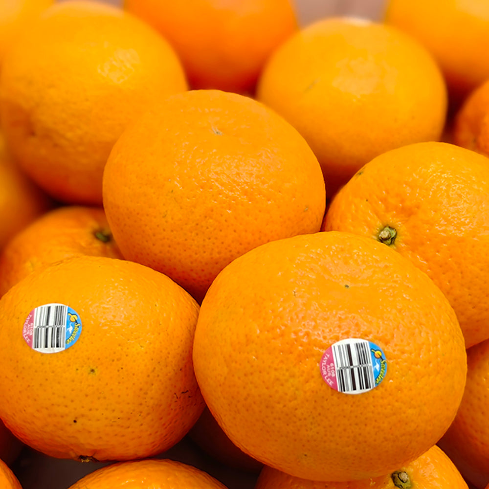 Taylor-Lee-Australian-Mandarins---1.1-1.2kg-1