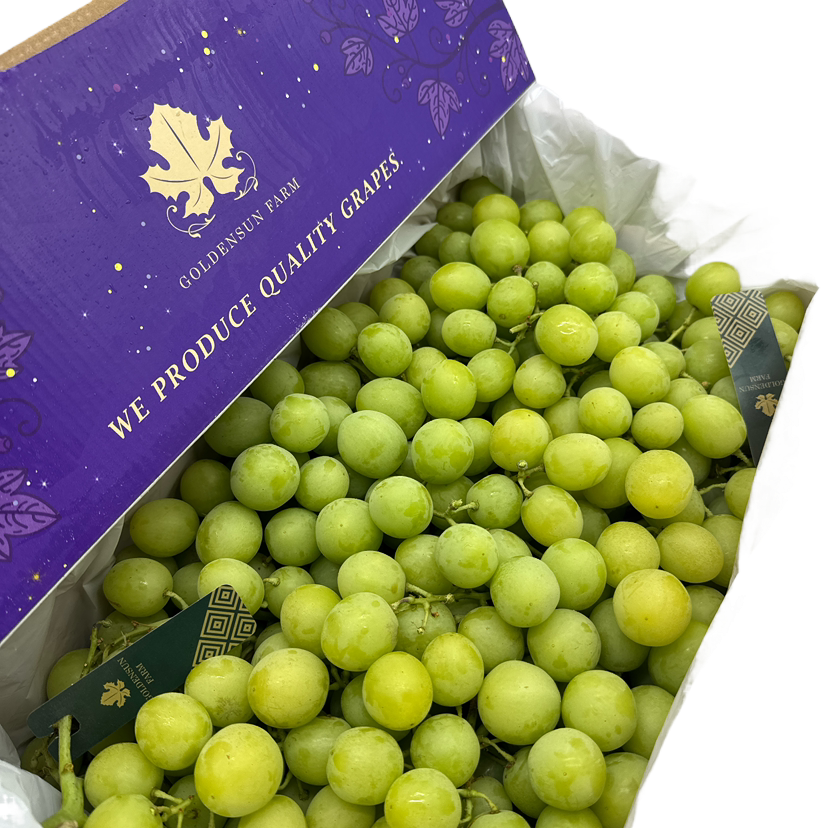 Local-Autumn-Crisp-Shine-Muscat-Grapes---Box-of-4.5kg-1