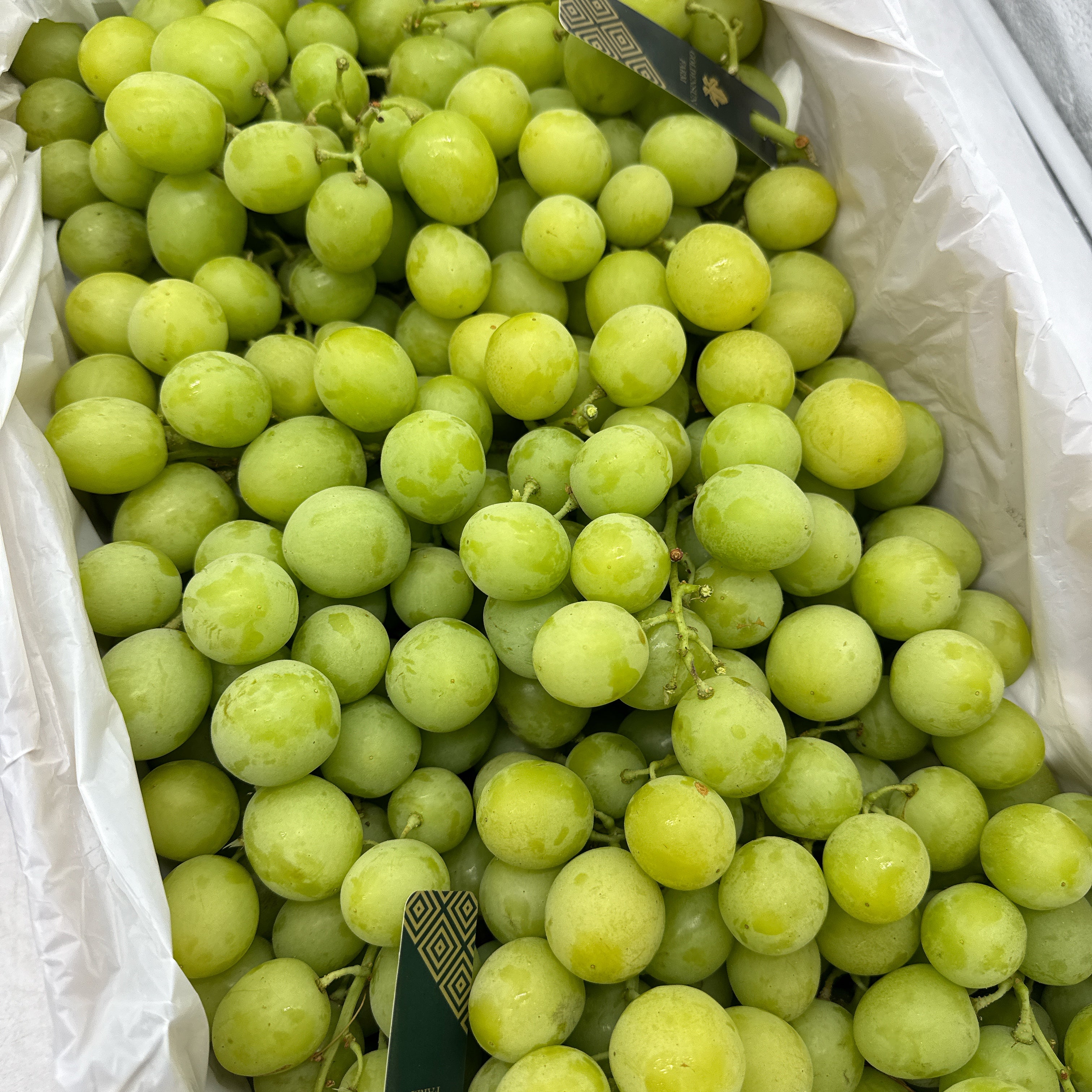 Local-Autumn-Crisp-Shine-Muscat-Grapes---Box-of-4.5kg-1