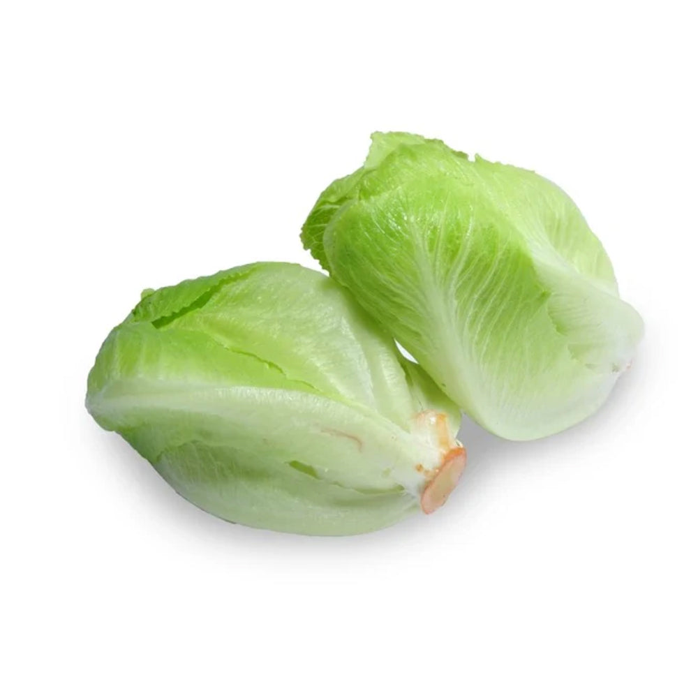 Baby Cos Lettuce - 2 Pack