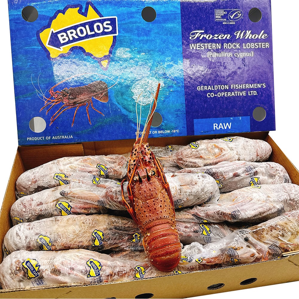 Brolos-Frozen-Whole-Western-Rock-Lobster---10kg-Box-(22-23-Pieces)-1