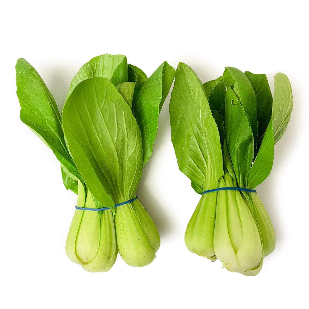 Farm-Fresh-Shanghai-Bok-Choy---2-Bunches -1