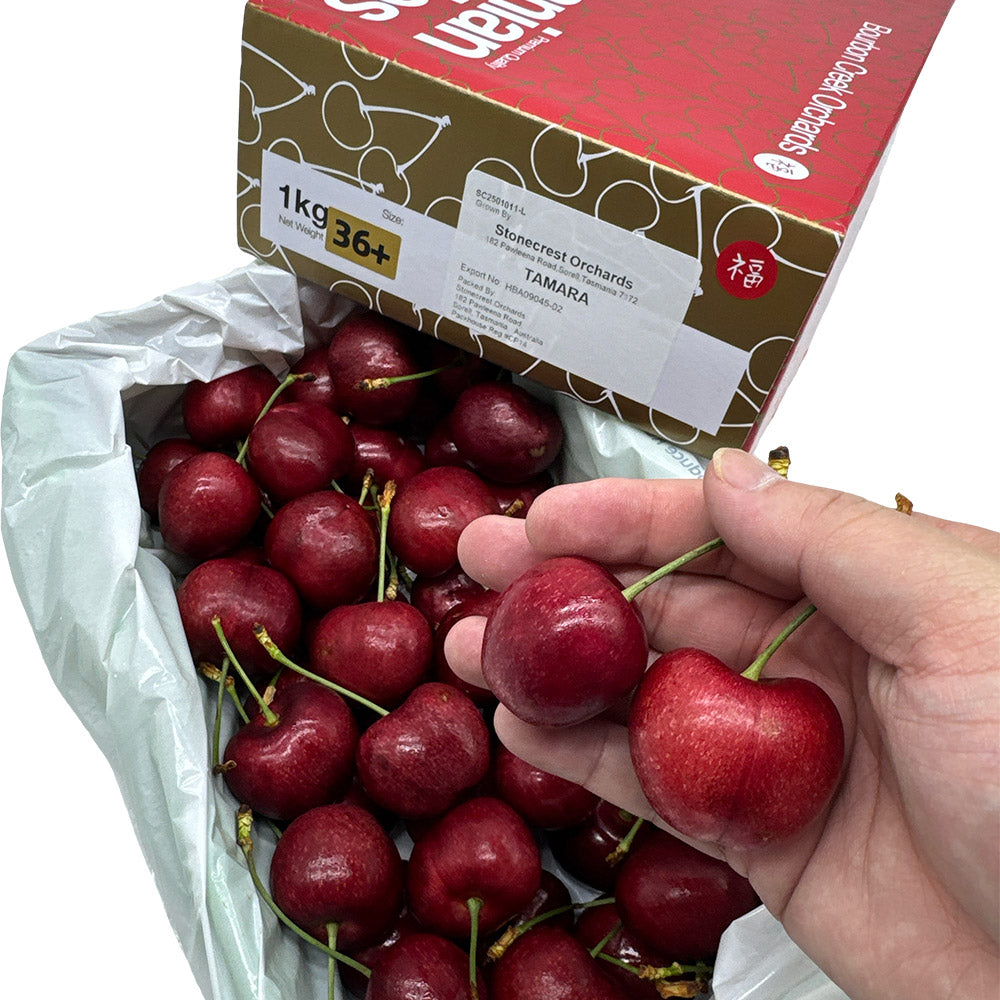 Bourbon-Creek-Tasmanian-Cherries-Gift-Box-36mm+---1kg-1