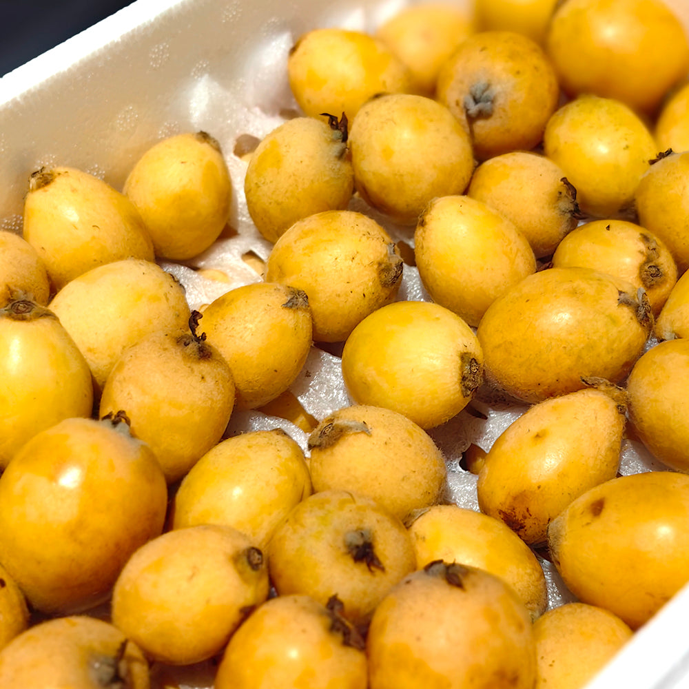 Thai-Loquat-Gift-Box-S/M---2kg-1