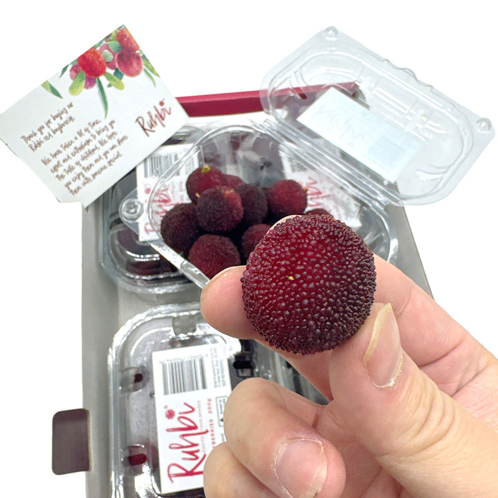 Rubbi-Fresh-Red-Bayberries---Box-of-4-Packs-1