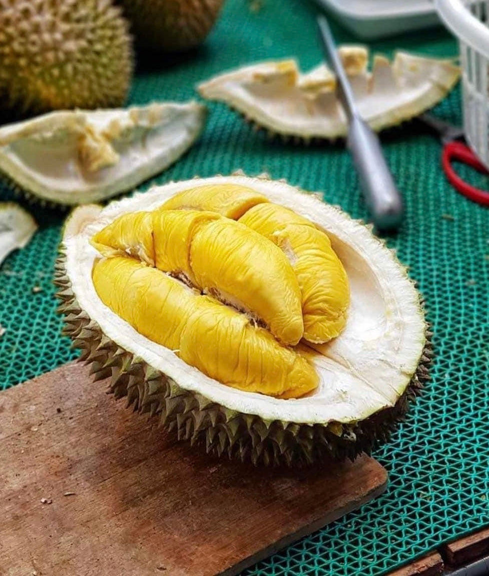 D197-Premium-Malaysian-Musang-King-Durian---1.4-1.6kg-1