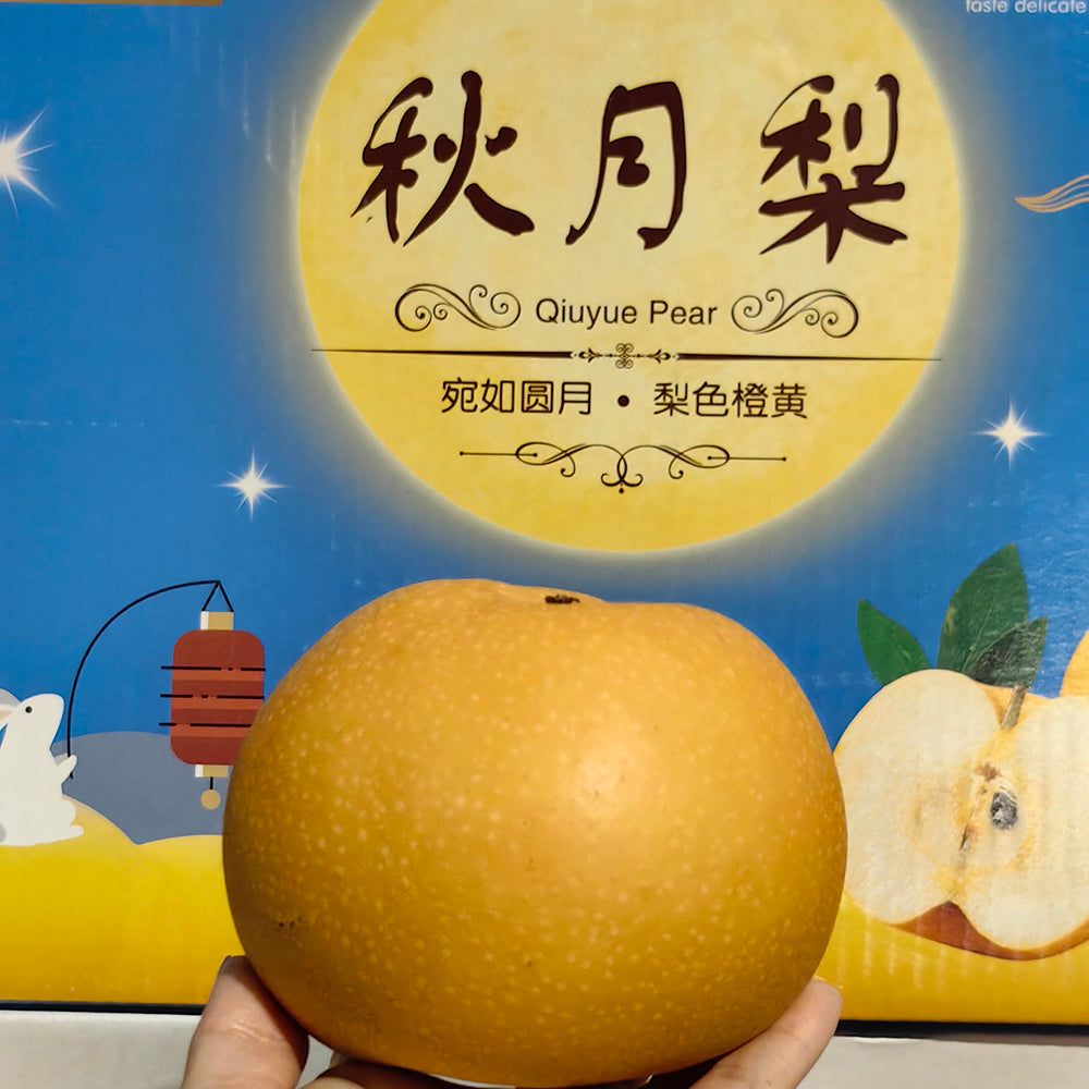 Qiuyue-Pear---1-Piece-1