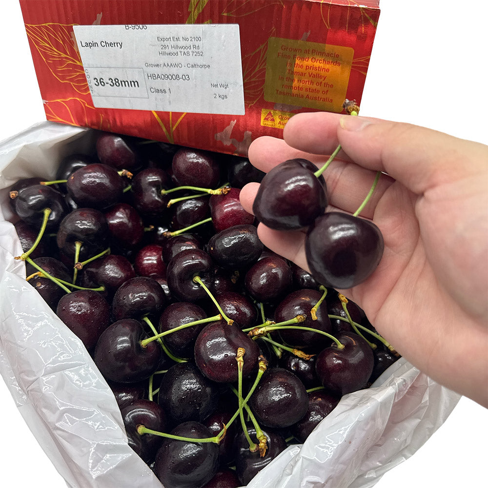 Tasmanian-Lapin-Cherries-Gift-Box---36-38mm,-2kg-1