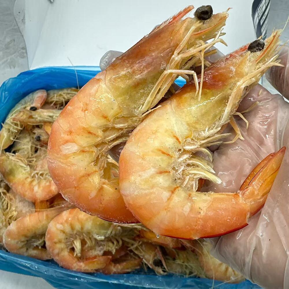 tarni-brand-frozen-sashimi-grade-cooked-king-prawns-u20-3kg-carton-3