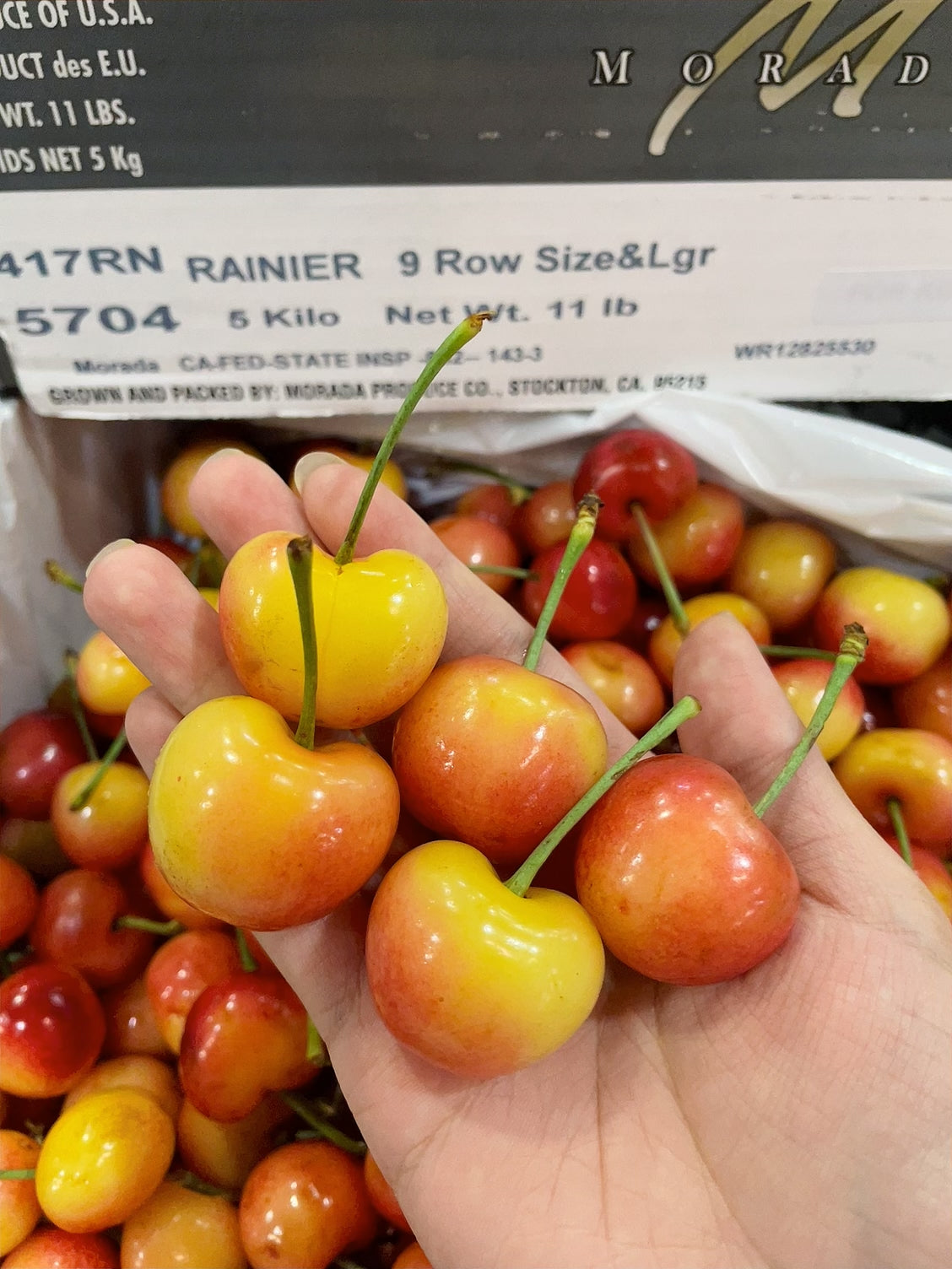 American-Yellow-Cherries---500g-1