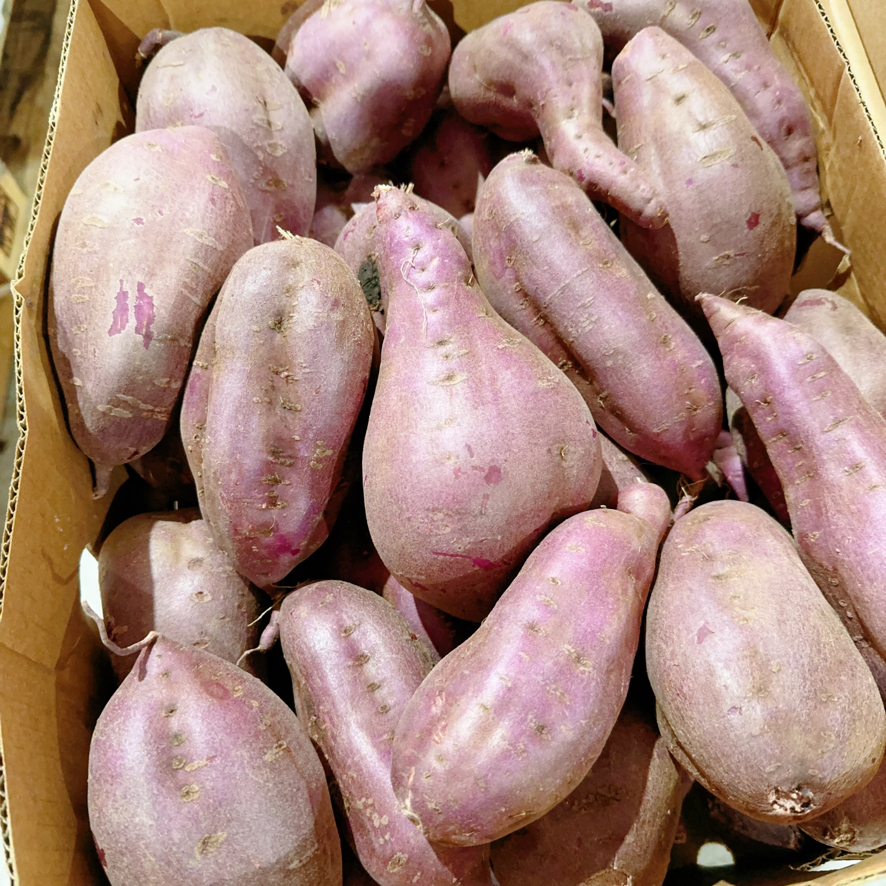 Japanese-Purple-Sweet-Potatoes---1kg -1