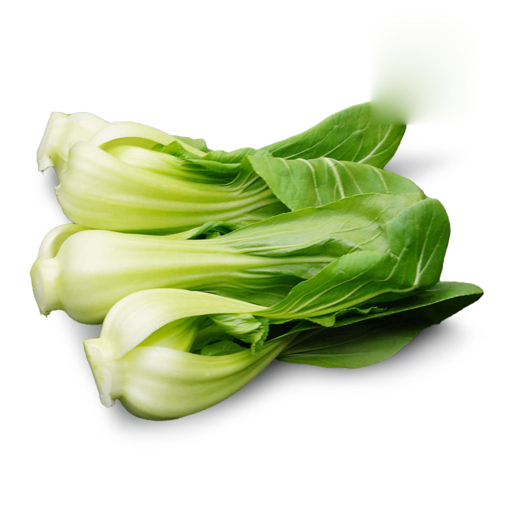 Hydroponically Grown Shanghai Bok Choy - 1 Bundle