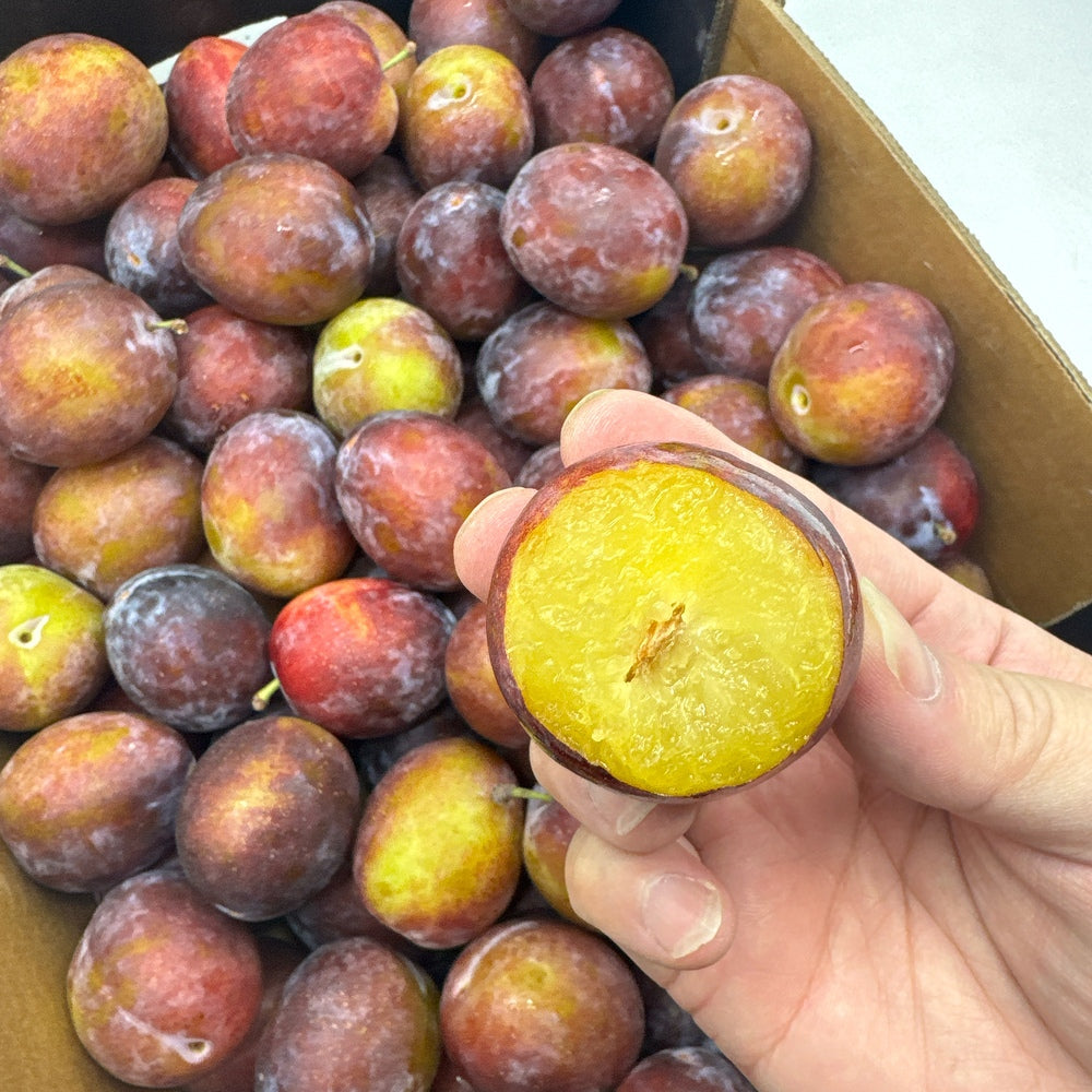 Umall-Fresh-Plums---500g-1