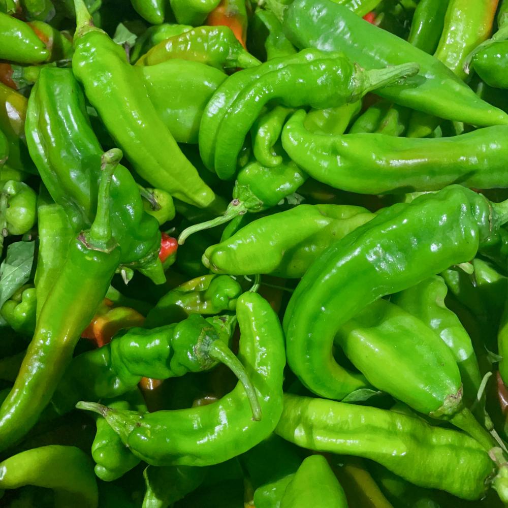 Xinjiang-Chili-Peppers---500g -1