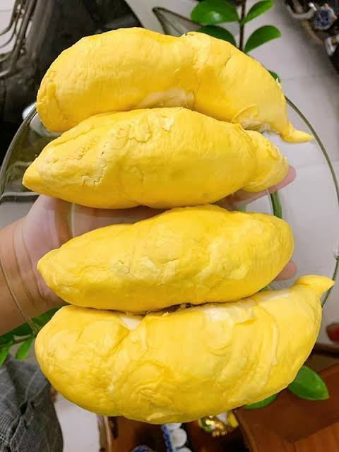 Umall-Frozen-Ri6-Vietnamese-Seedless-Durian-Pulp---700g-1