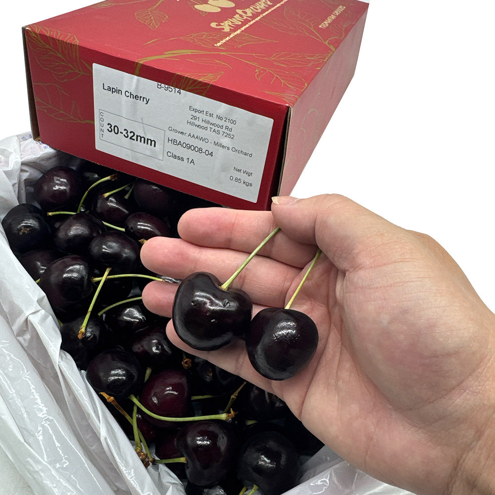 Tasmanian-Lapin-Cherries-Gift-Box---30-32mm,-850g-1