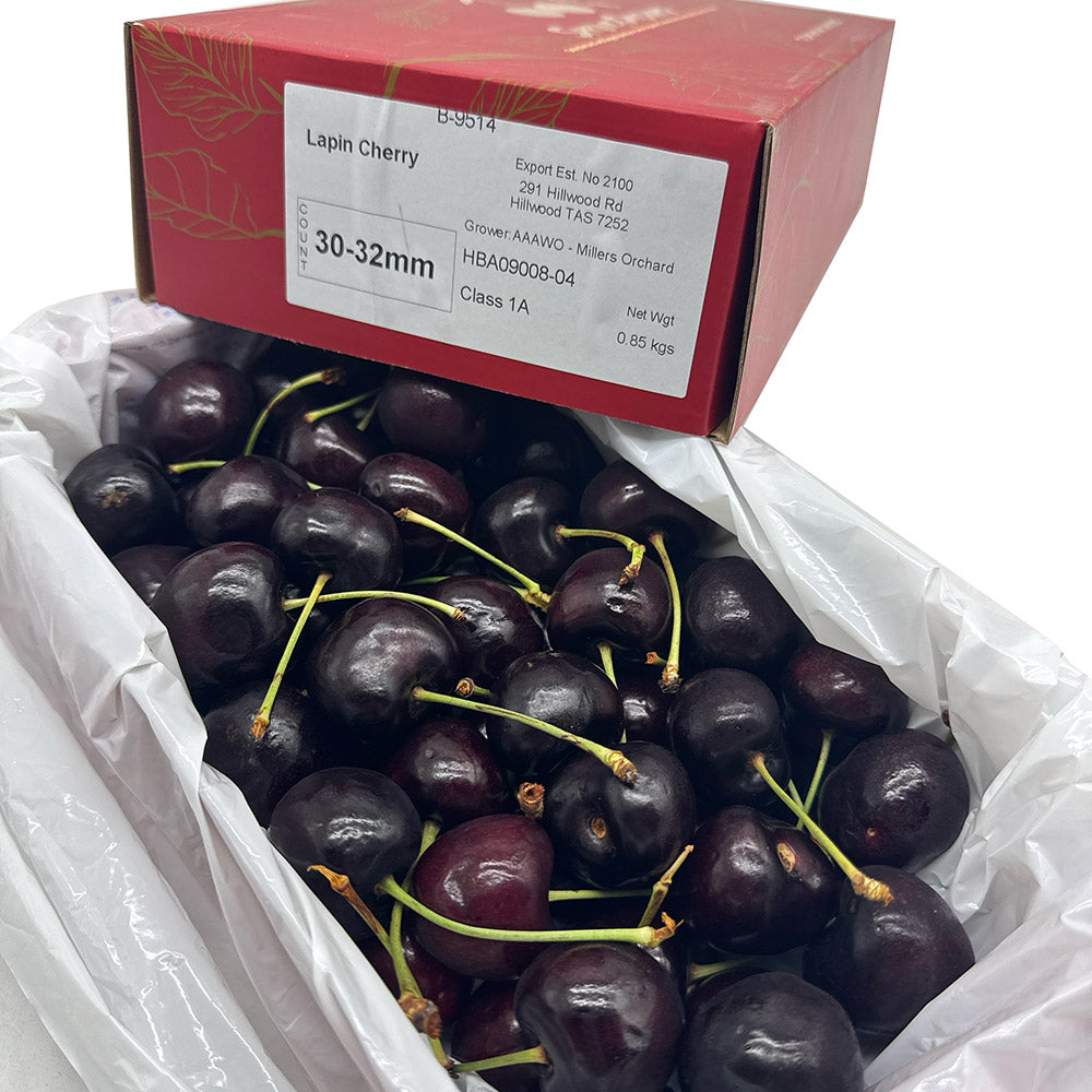 Tasmanian-Lapin-Cherries-Gift-Box---30-32mm,-850g-1