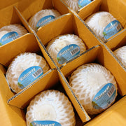 Bán chạy nhất at UMall Australia