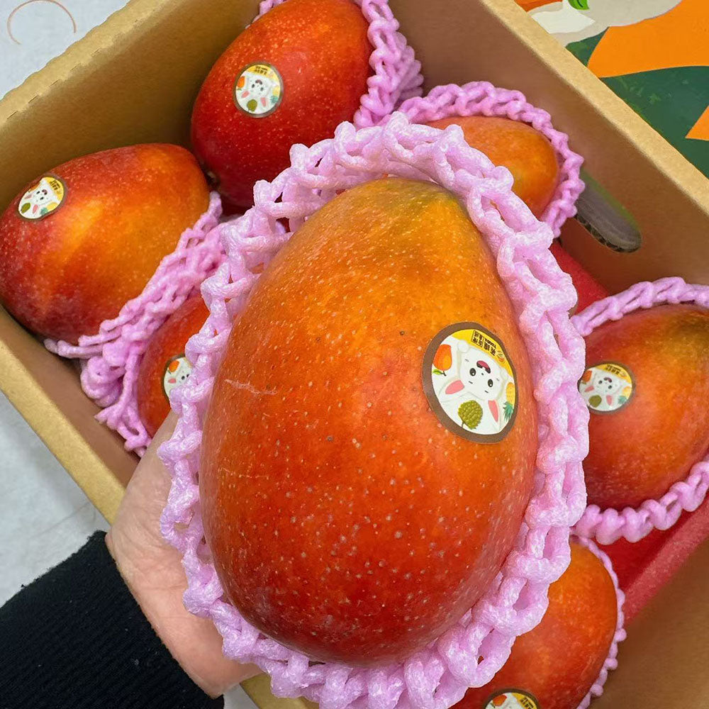 Air-Freighted-Taiwanese-Irwin-Mangoes---Box-of-8-3