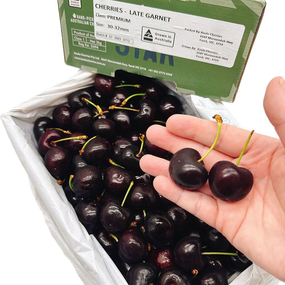 Koala-Handpicked-Black-Pearl-Cherries-Gift-Box---2kg-1