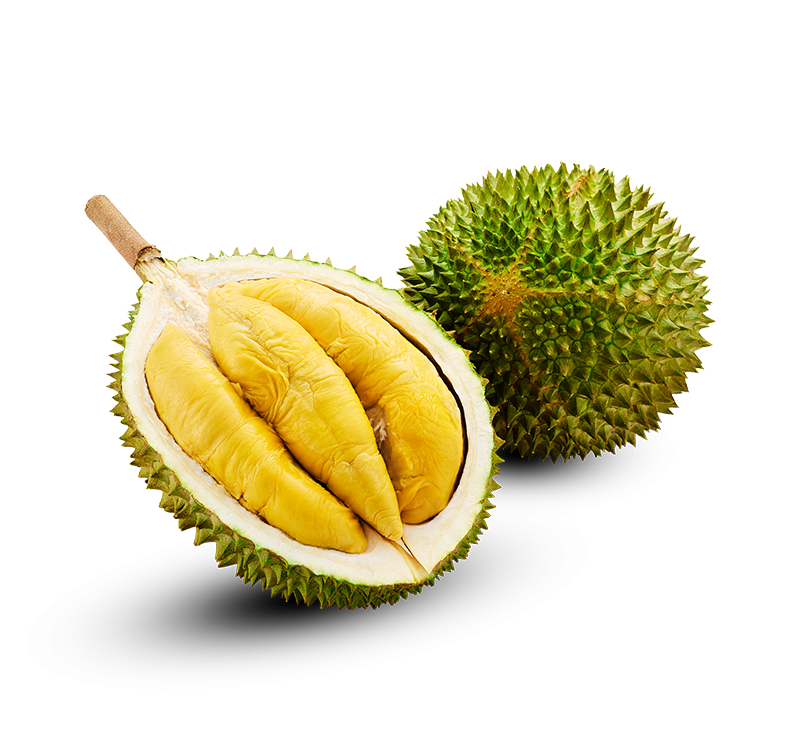 D197-Musang-King-Durian-in-Net-2.6-2.8kg-1