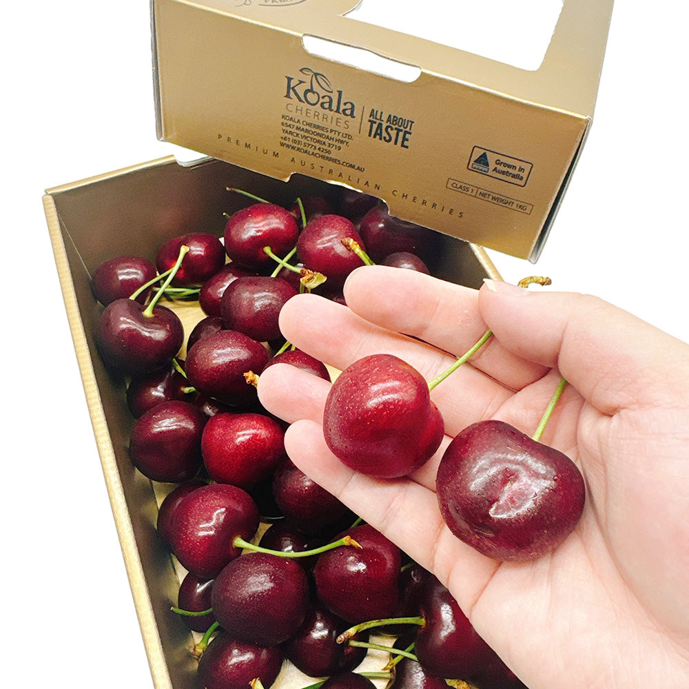 Koala-Cherries-Gift-Box-34-36mm---1kg-1