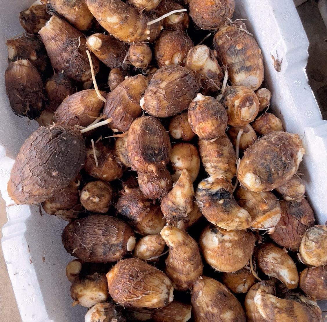 Fresh-Small-Taro---1kg -1