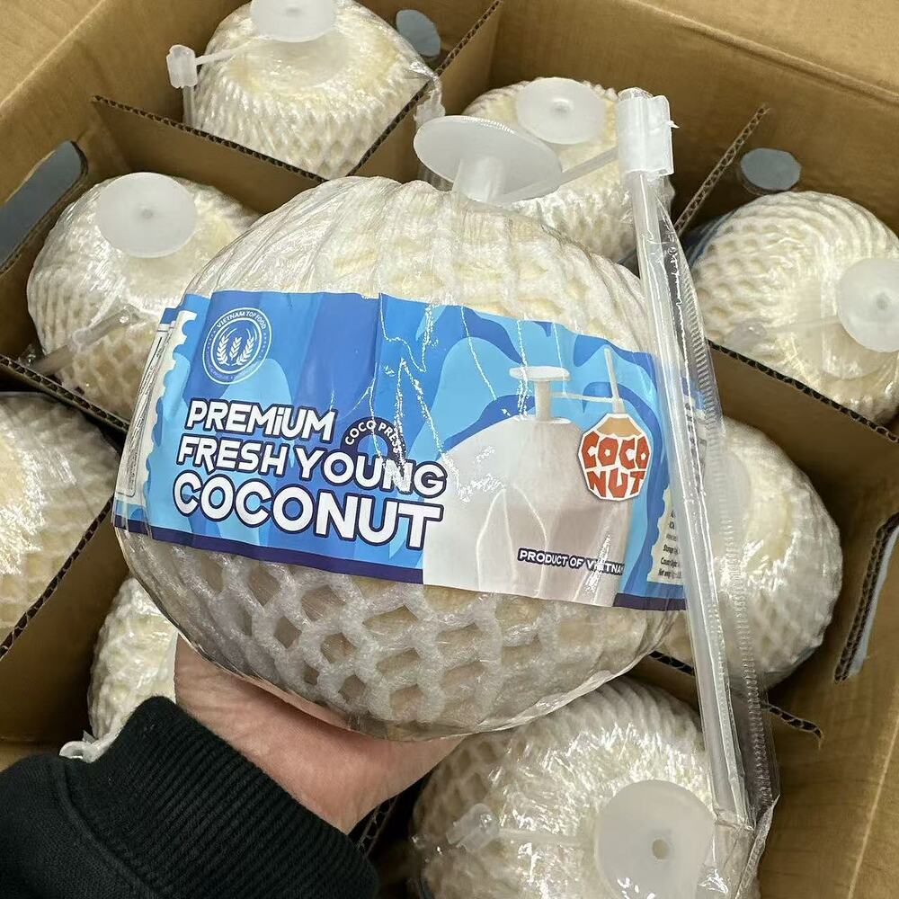 Premium-Easy-Open-Vietnamese-Young-Coconut-(Large)---1-Piece-1
