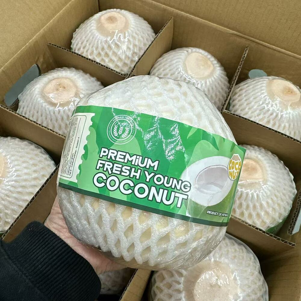 Premium-Fresh-Young-Coconut-from-Vietnam---Large,-1-Piece---Sweet-Drinking-Coconut-1
