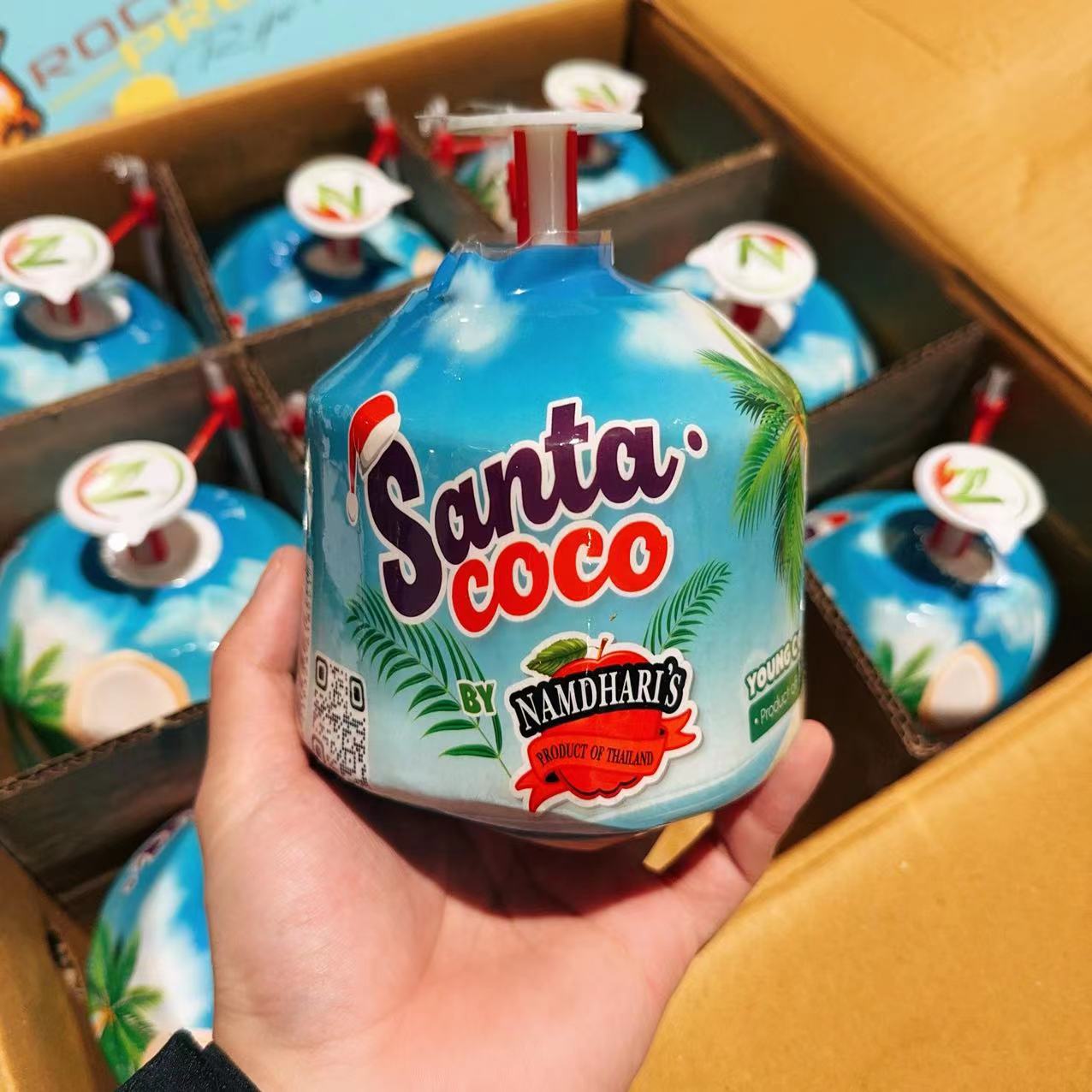 Santa-Coco-Easy-Open-Young-Coconut---1-Piece-1