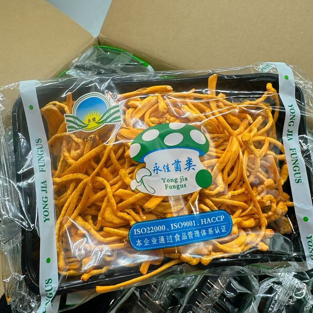 Yong-Jia-Fresh-Cordyceps-Militaris-Mushrooms-(Cordyceps-Flower)-–-200g-Tray-2