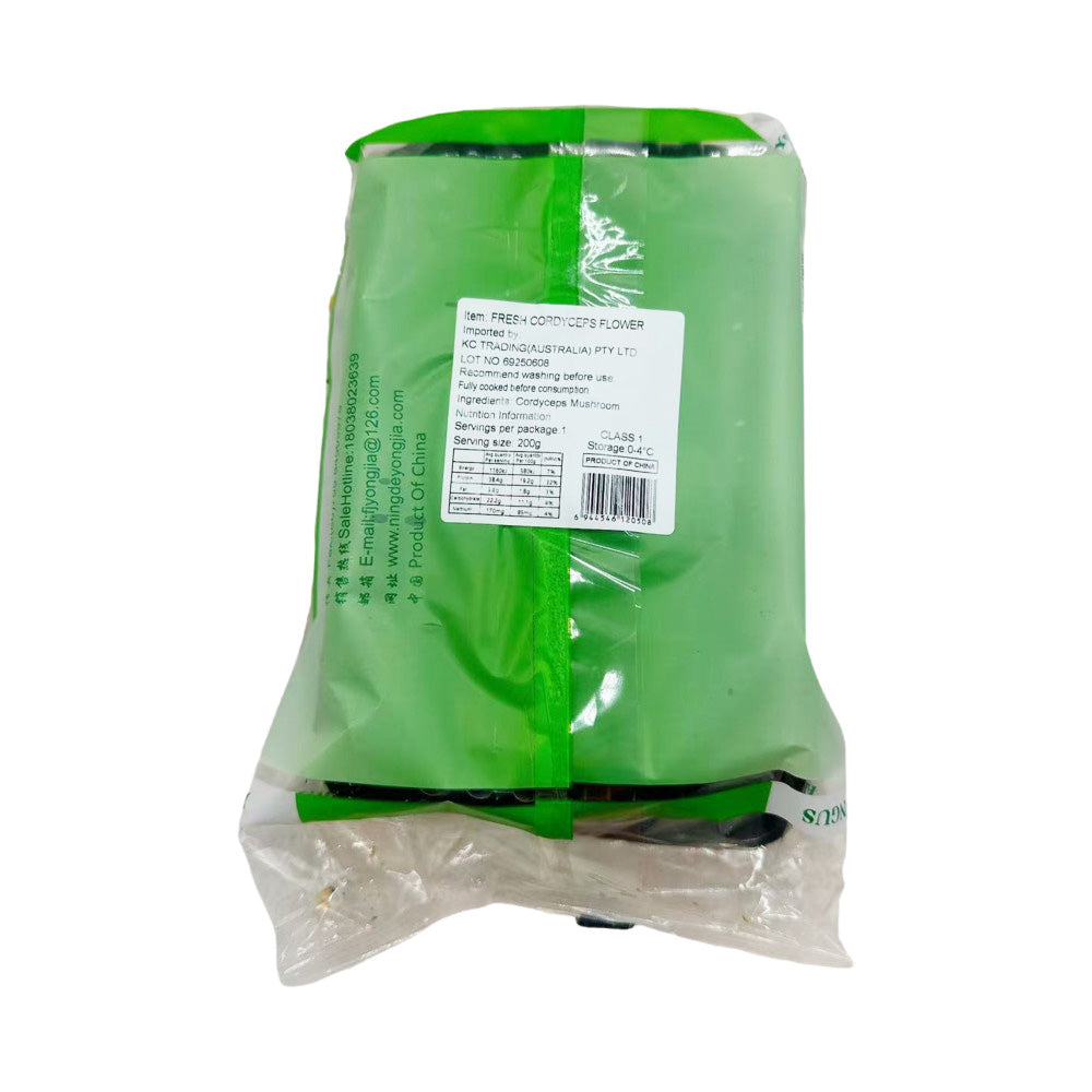 Yong-Jia-Fresh-Cordyceps-Militaris-(Golden-Cordyceps-Flower-Mushroom)-–-200g-Tray-3