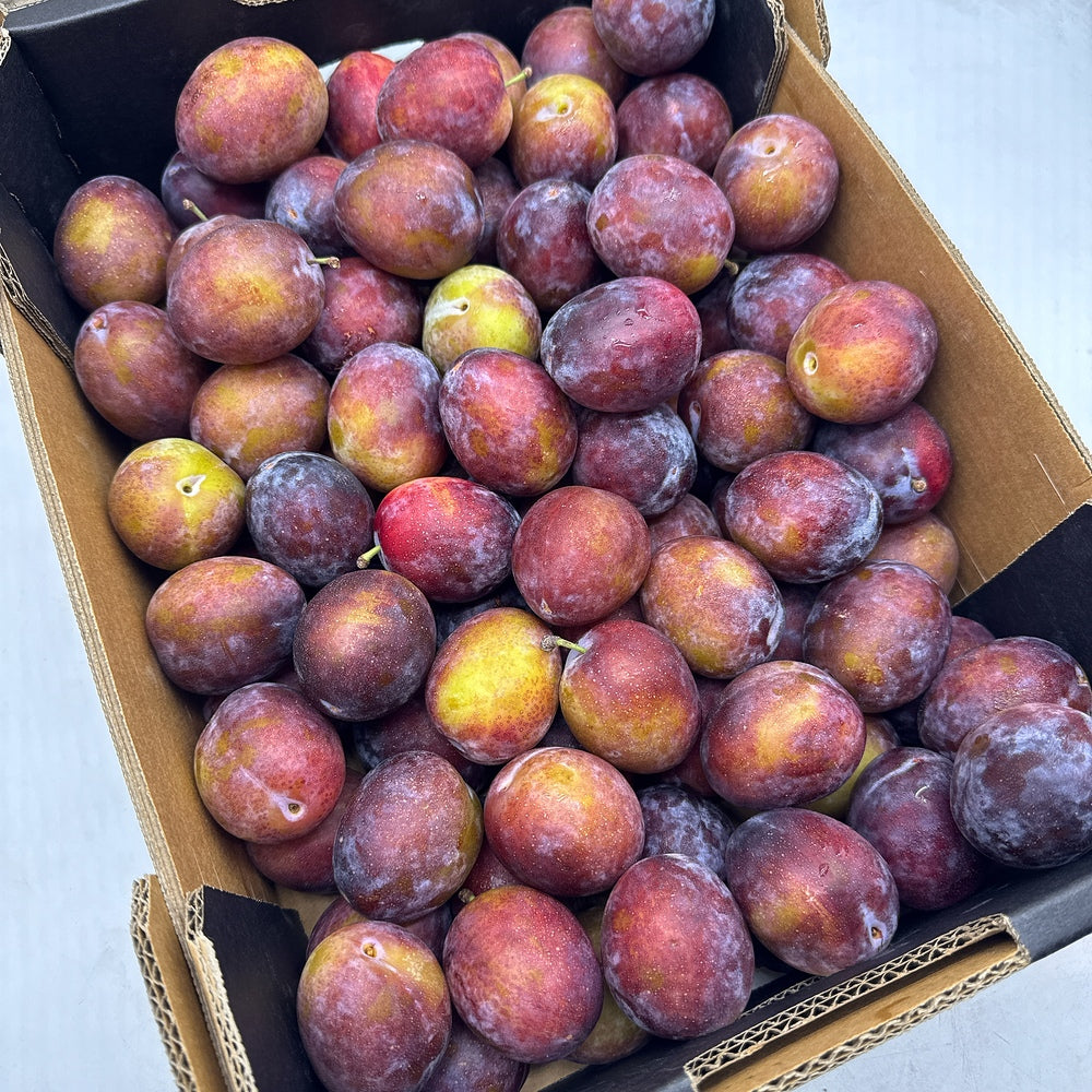 Umall-Fresh-Plums---500g-1