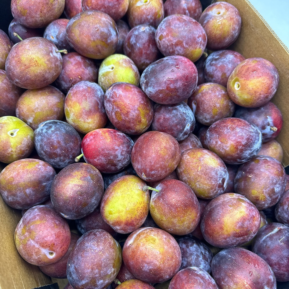 Umall-Fresh-Plums---500g-1